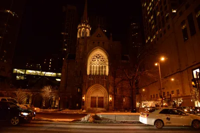DSC_8742 (Large).JPG